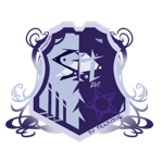 Superstars In Training logo